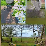 Historisches Schulhaus Mit Kamin Fuer Familiengarten An Nordsee بوتجادينغين