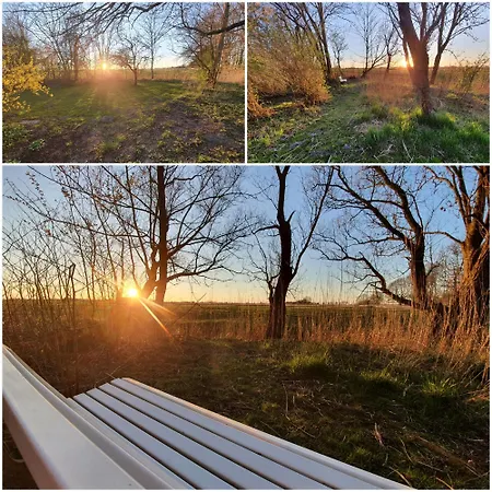 Alte Schule Süllwarden Ländlich An Der Nordsee Apartment