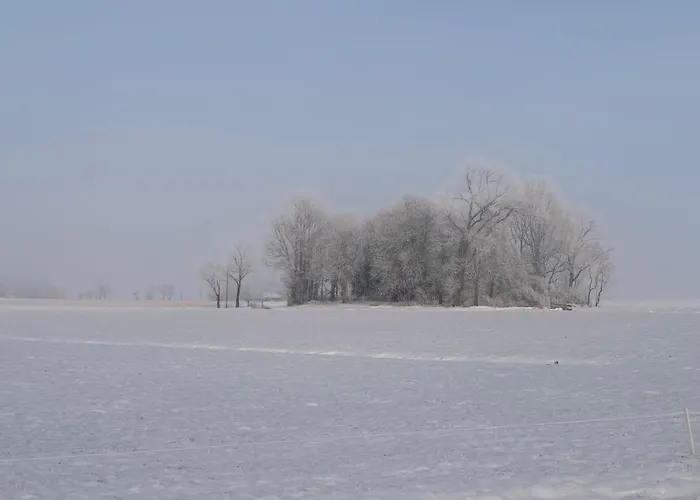 Historisches Schulhaus Mit Kamin Fuer Familiengarten An Nordsee アパート ブットヤーディンゲン
